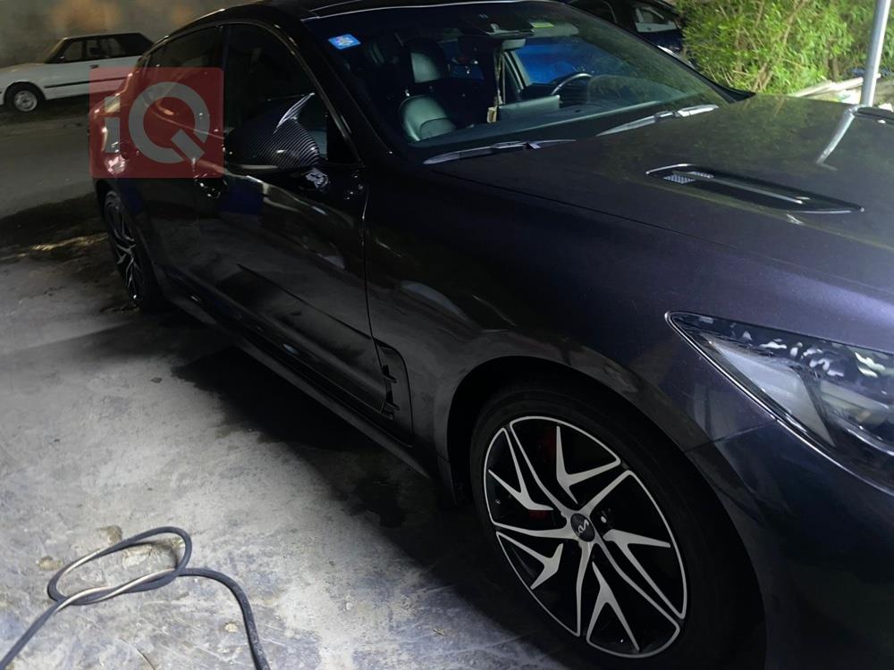 کیا ستینگەر